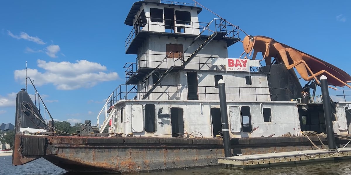 Cockroach reef on display along Highway 90 for Cruisin’ the Coast