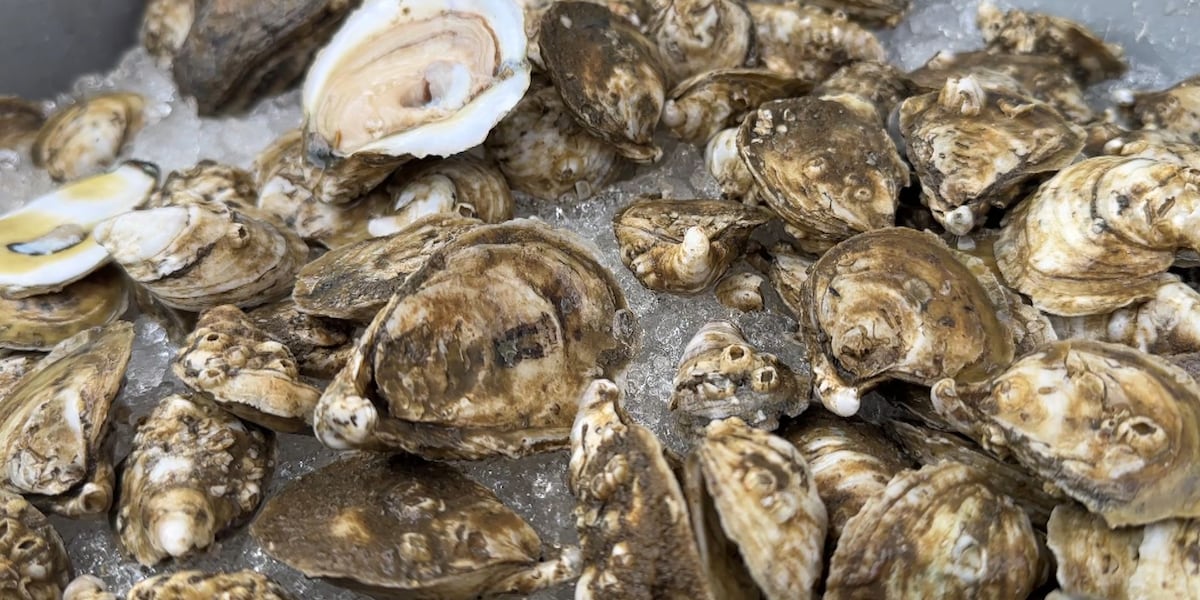Coast businesses react to law requiring restaurants to label seafood as domestic or imported