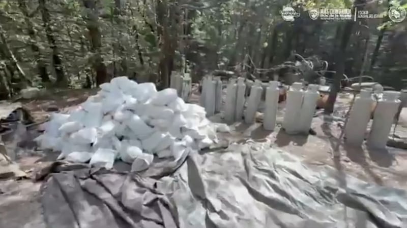 Two U.S. officials and two Mexican agents died Sunday in a car accident after an operation...