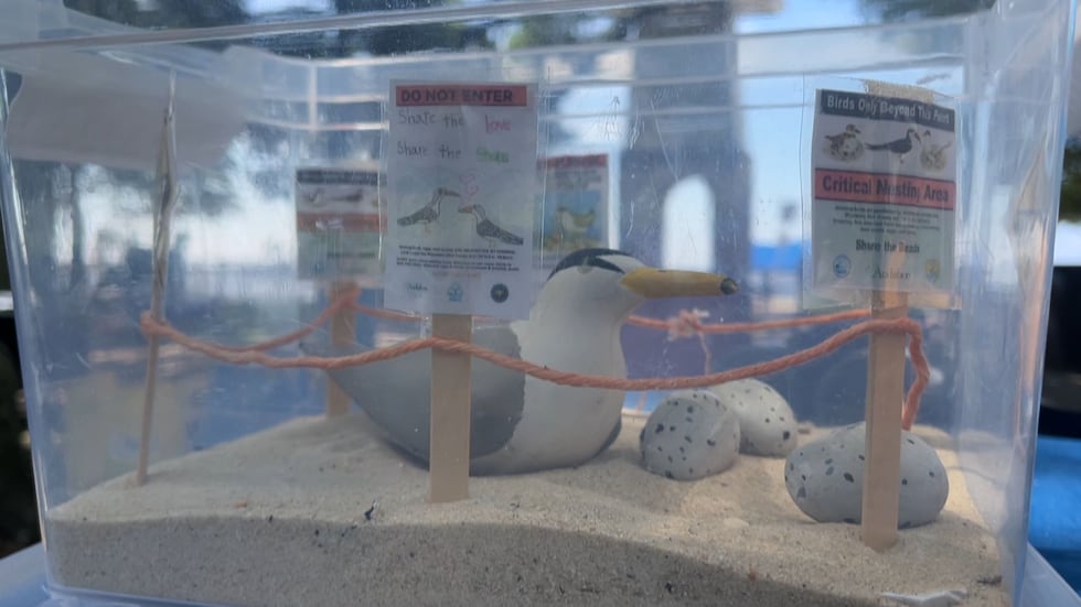 Jackson County Recreation Department and the City of Pascagoula brought the Coast to life with...