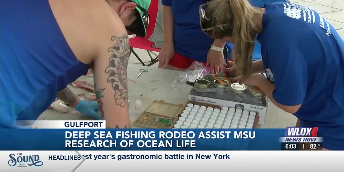 MSU students use Mississippi Deep Sea Fishing Rodeo to assist research on ocean life