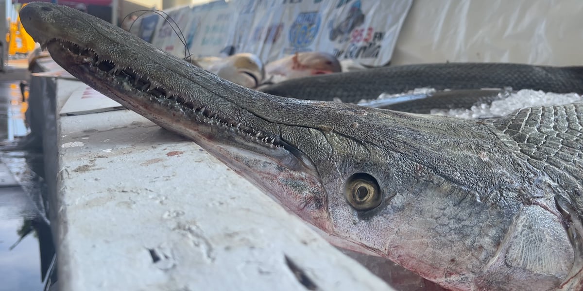 Families spend the 4th at the 77th annual Mississippi Deep Sea Fishing Rodeo