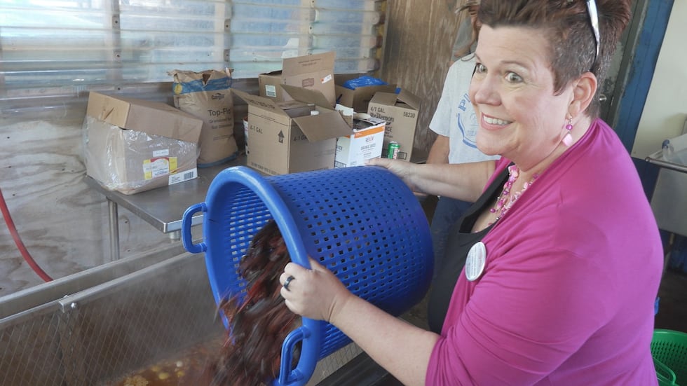 Truebner-Webb said when business grows, so does the need for more workers.