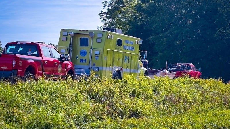 Personnel from several counties searched for a missing person in Quitman on Sunday.