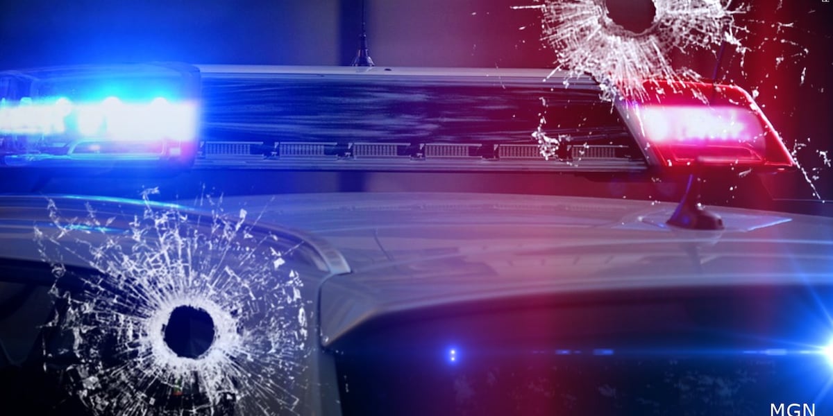Several vehicles, homes hit in Gulfport shooting, police say