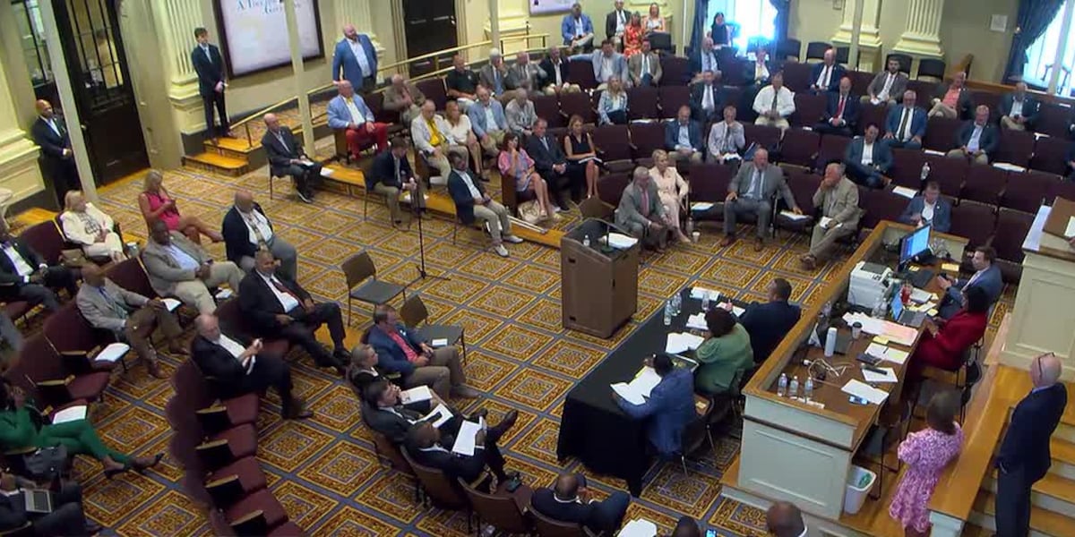 Mississippi lawmakers pass youth court overhaul, approve $29.5M in new spending Legislature acts during special session