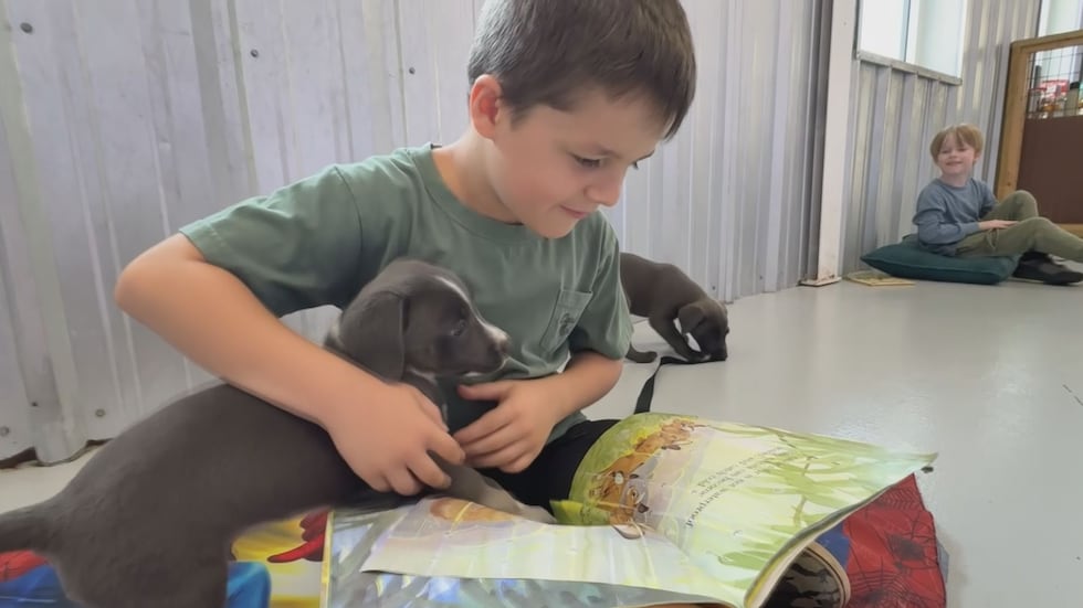Club Paws Summer Day Camp