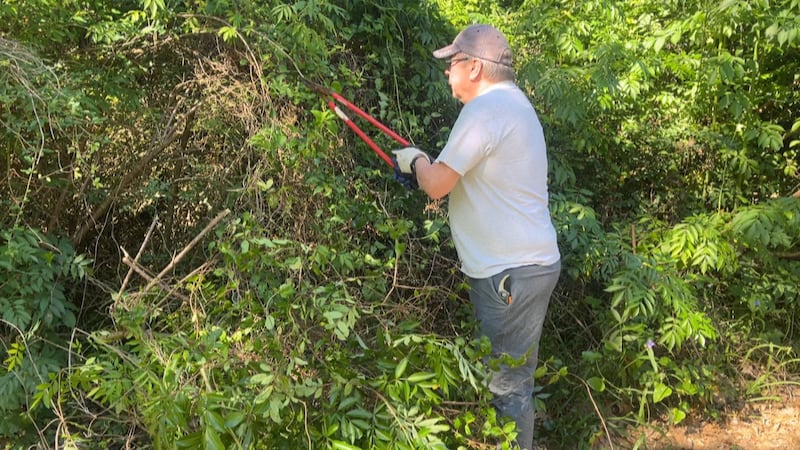 Volunteers at the Bay St. Louis Little Theatre cleaned up the theater grounds to help maintain...