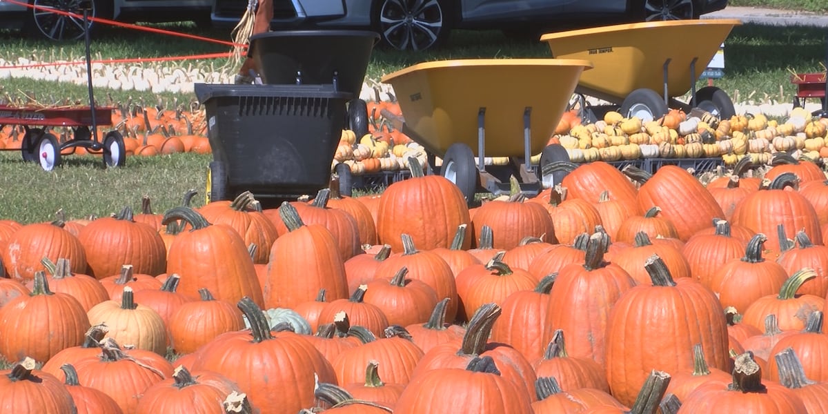 Trinity Episcopal Church Pumpkin Patch officially opens for the season