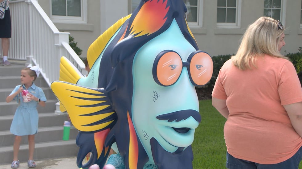 Fish hippie, Gulfport