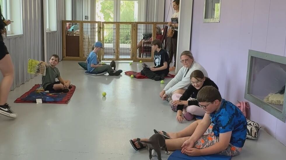 Club Paws Summer Day Camp
