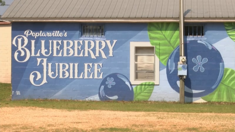 This weekend, the Blueberry Jubilee returned with hundreds of vendors and plenty of blueberry...