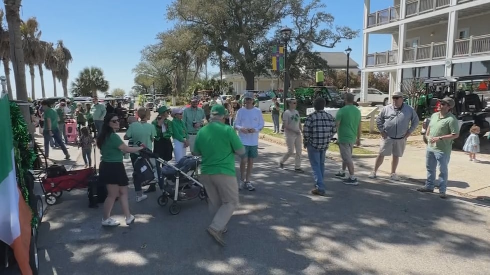 Participants of previous years Krewe of Blarney St. Patrick's Day Parade.