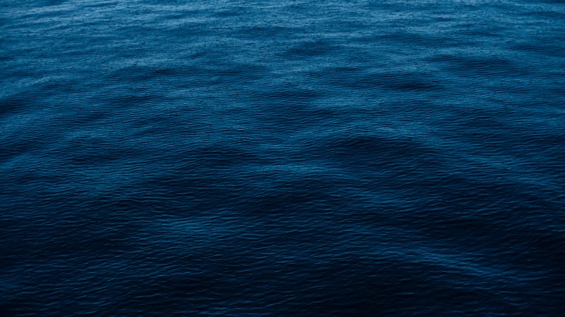 Two men died Wednesday after being pulled from the water at the Lock One Navigational Canal...