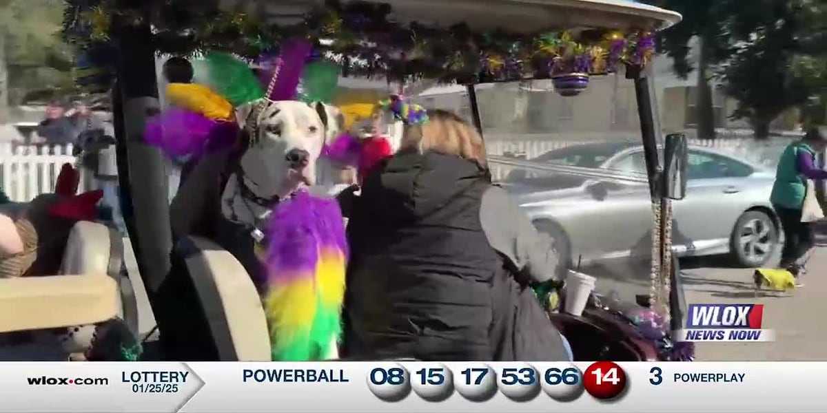 Mardi Gras may be over, but two more pet parades will roll in South Mississippi Mardi Gras may be over, but two more pet parades will roll in South Mississippi