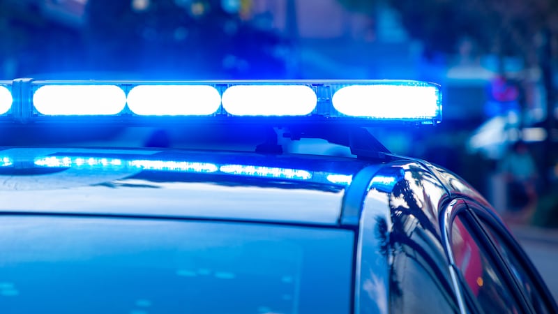 FILE - Police lights.