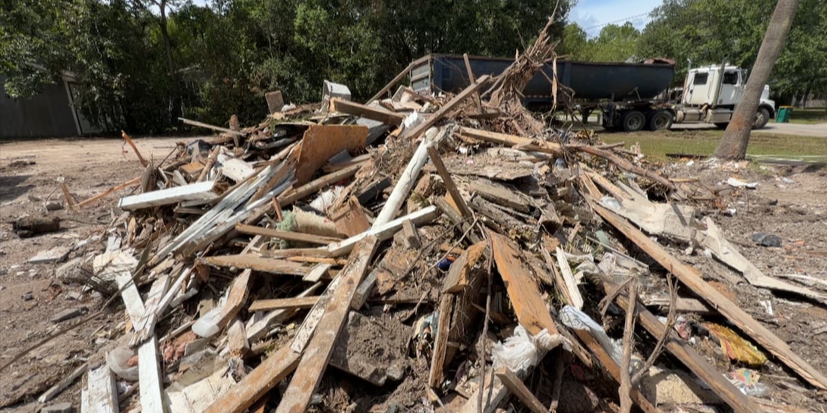 Pass Christian on a mission to demolish derelict homes