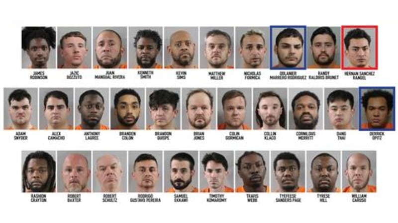 Thirty-one of the arrests were related to child sexual predators, the sheriff said.