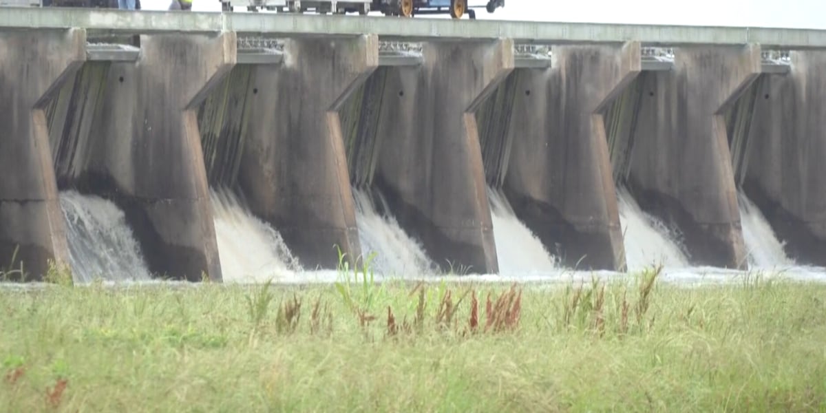 Coast leaders push Congress to protect Mississippi Sound from Bonnet Carré Spillway openings