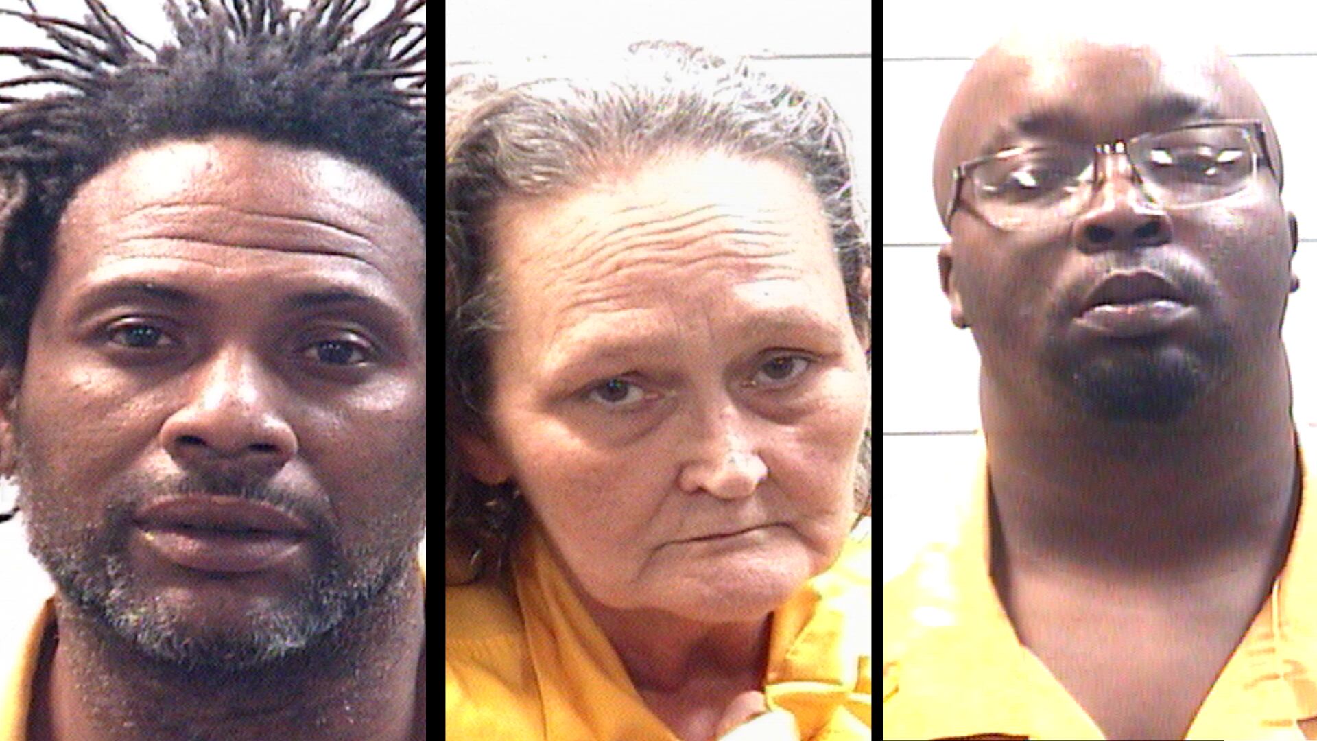 67 dogs seized , 3 arrested in Vancleave dog fighting operation , sheriff says