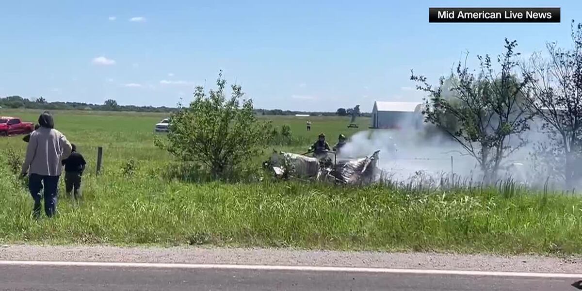 Plane crash kills 11 skydivers, pilot