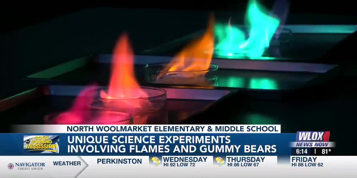 Exploding gummy bear experiment sparks excitement for Harrison County ...