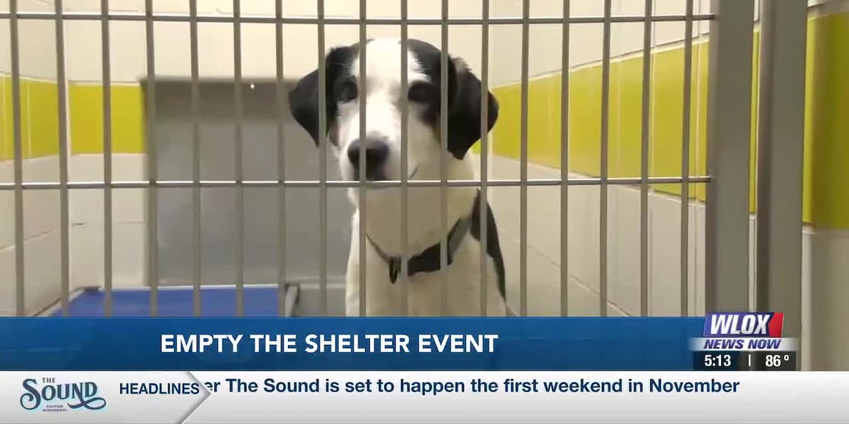 Humane Society of South Mississippi holds 'Empty the Shelter' adoption event
